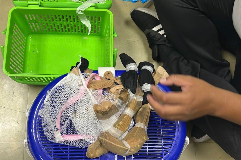 Трое тайваньцев арестованы с 52 редкими животными в аэропорту Дон Муанг