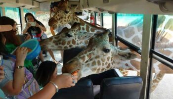 nuevos medidas para impulsar el turismo