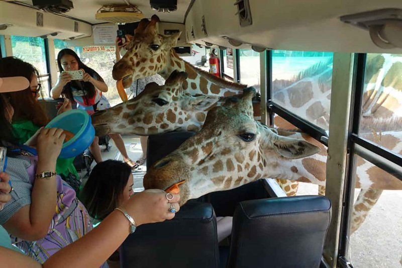 nuevos medidas para impulsar el turismo