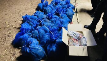 143 макаков спасены от контрабандистов в Са-Каео