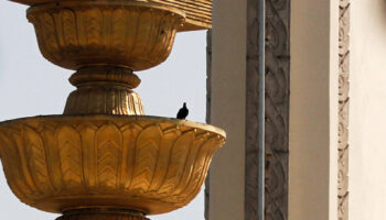 Бывший судья поддерживает предложение по созданию панели для разработки устава 20 к 1