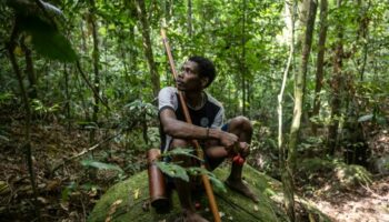 Последние охотники-собиратели Таиланда требуют права на землю