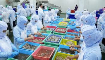 Таиланд приостановил продление рабочих виз для камбоджийцев после инцидента с минами