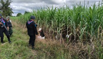 Четыре тайца задержаны при попытке пересечения границы в Камбоджу для работы онлайн-администратором