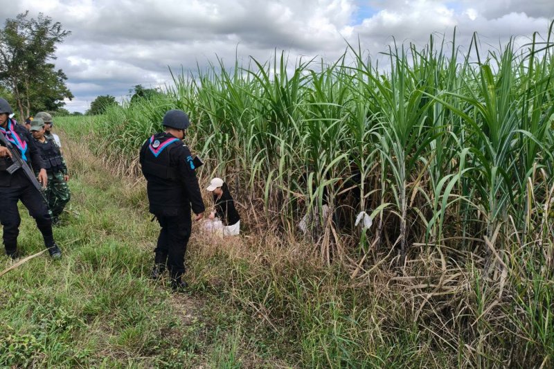 Четыре тайца задержаны при попытке пересечения границы в Камбоджу для работы онлайн-администратором