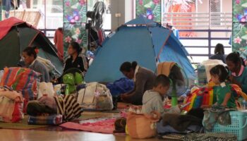 Виродж хвалит власти за усилия по эвакуации