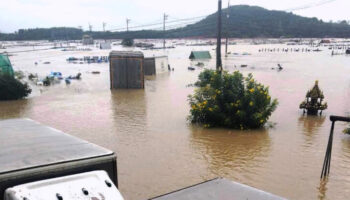 На юге Таиланда наводнения разорили 10,000 креветочных фермеров, ущерб составил $31 млн