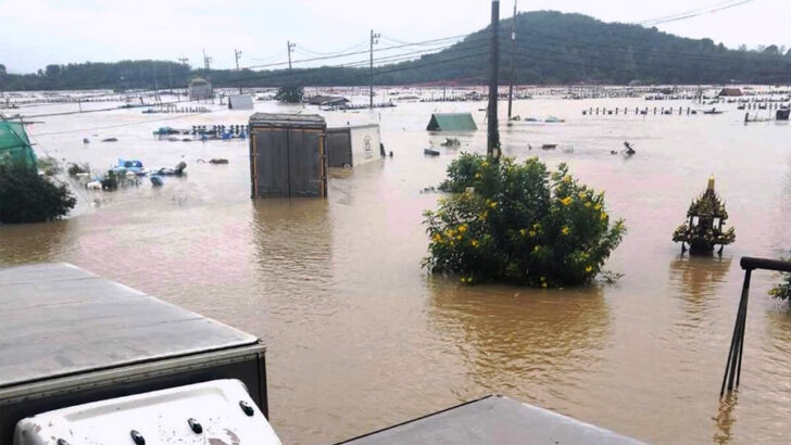 На юге Таиланда наводнения разорили 10,000 креветочных фермеров, ущерб составил $31 млн