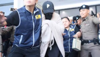 ‘Нана’ выпущена под залог, полиция ищет сообщника