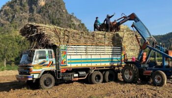 Опасность пыли возвращается, поскольку Таиланд ужесточает контроль над сжиганием тростника и выбросами биомассы
