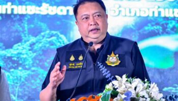 Складские помещения Нонг Кхая связаны с региональной сетью контрабанды древесины, задержаны четверо.