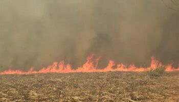 Таиланд ужесточает контроль над сахарными заводами и биомассой для борьбы с PM2.5 перед сезоном тумана 2026 года