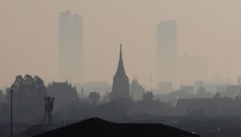 Тайский год экологических потрясений