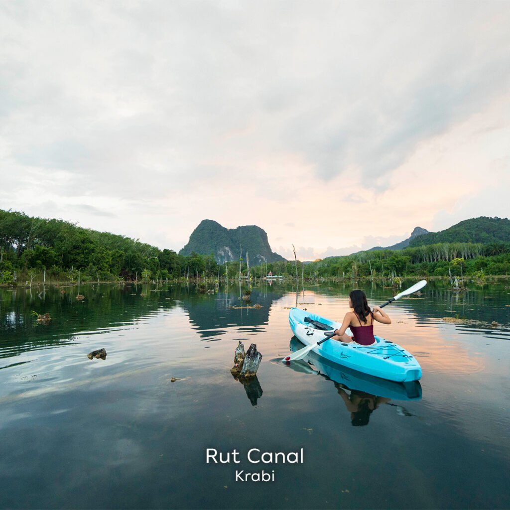 Условия путешествий по Южному Таиланду нормализовались, поскольку TAT продвигает усилия по восстановлению