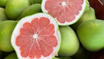 ‘Вианг Кен Помело’ получает статус ГИ, укрепляя сельскохозяйственный бренд Чианг-Рая