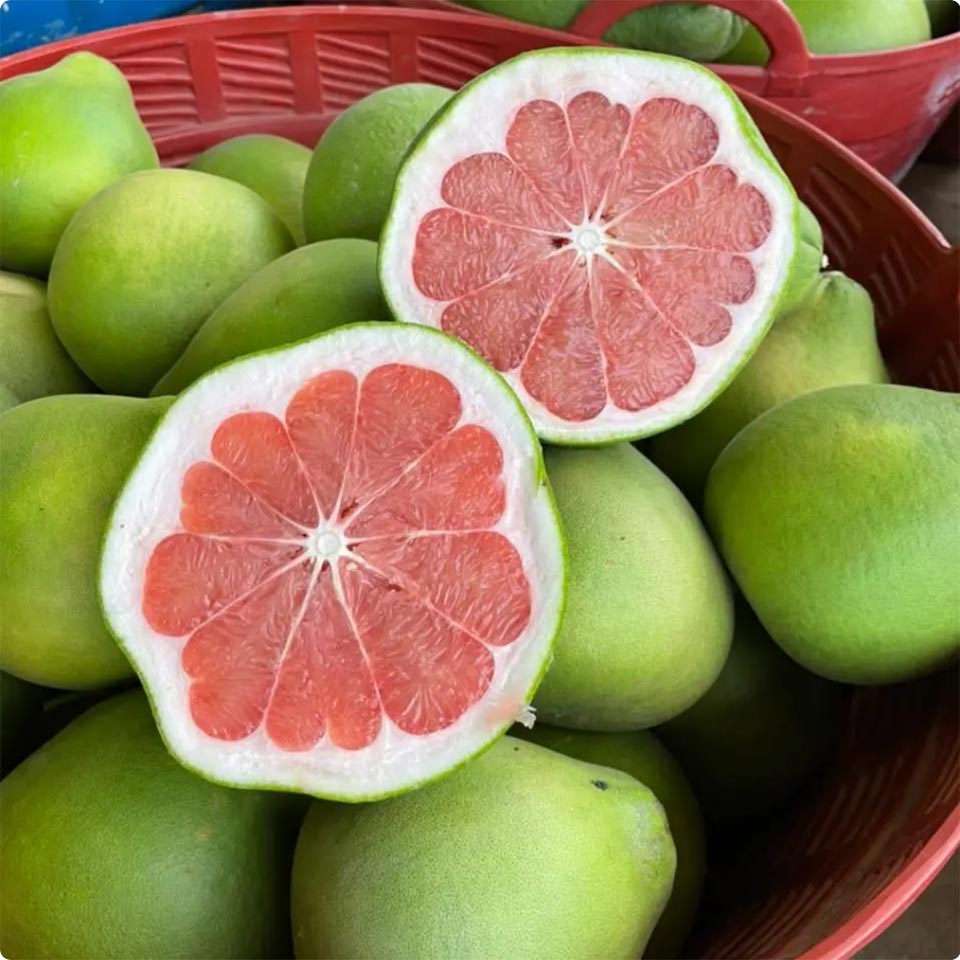 ‘Вианг Кен Помело’ получает статус ГИ, укрепляя сельскохозяйственный бренд Чианг-Рая