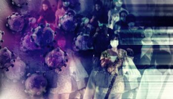 Вирус Нипах: что это такое, где его можно встретить и как он распространяется