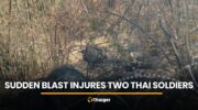 Внезапный взрыв ранил двух тайских солдат недалеко от бывшей зоны конфликта