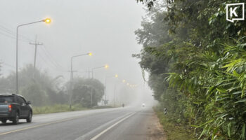 Густой туман заставил грузовик слететь в овраг, убив двоих