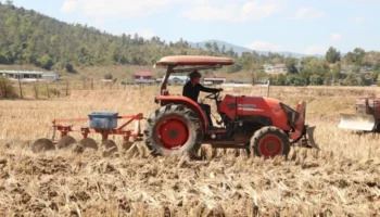 Департамент сельского хозяйства усиливает усилия по борьбе с открытым сжиганием