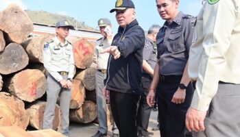 ДСИ ликвидирует транснациональную сеть контрабанды древесины, изымает 2,5 миллиарда бат за незаконную древесину