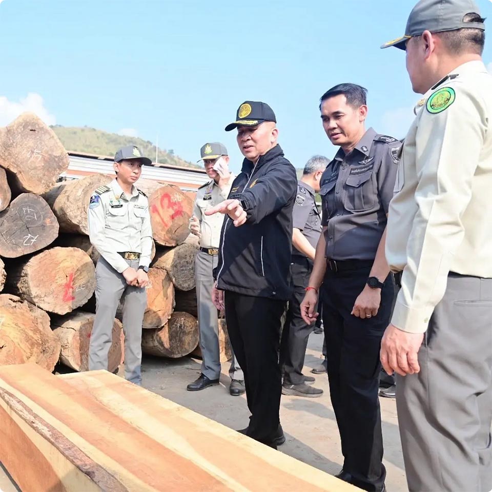 ДСИ ликвидирует транснациональную сеть контрабанды древесины, изымает 2,5 миллиарда бат за незаконную древесину