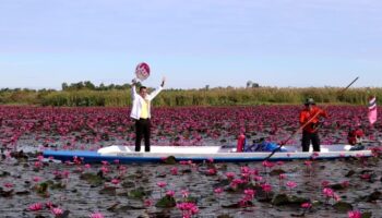 Зимняя магия в Удоне Тхани: Открыто Красное Лотосовое Море!