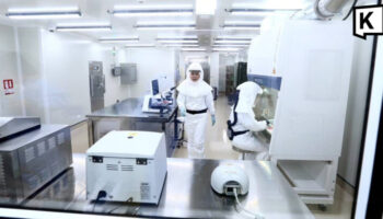 Лаборатория в Таиланде готова провести тест на вирус Нипах в течение 8 часов