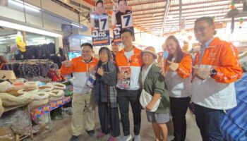 Лидер Народной партии обещает однопартийное правительство