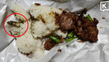 Мужчина заболел после того, как нашёл геккона в липком рисе на обочине дороги