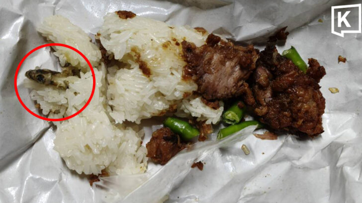 Мужчина заболел после того, как нашёл геккона в липком рисе на обочине дороги