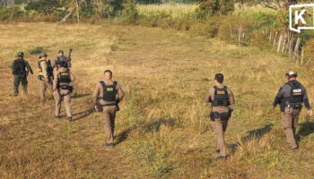 Начата операция по поимке преступника после полицейской стрельбы вблизи границы