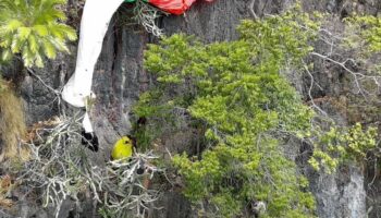 Незаконный парапланеризм оставил британского туриста травмированным на скале в Краби