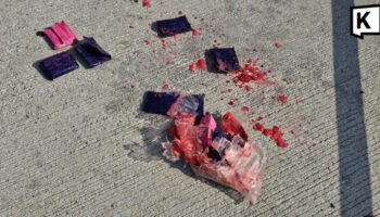 Собака жует упаковку и выставляет на свет тайник с метамфетамином в Чонбури