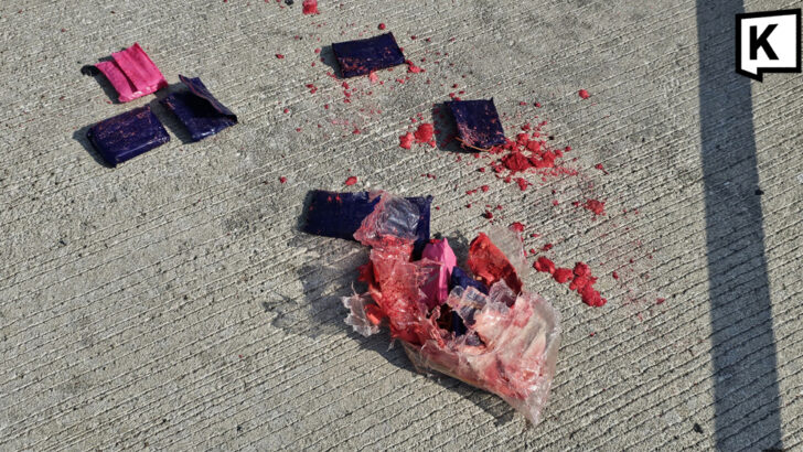 Собака жует упаковку и выставляет на свет тайник с метамфетамином в Чонбури