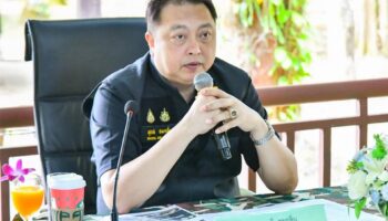 Таиланд усиливает мониторинг после редкого наблюдения за гитарной скатой в Транге