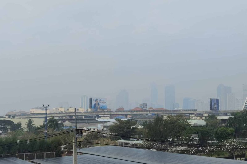 Уровни смога небезопасны в большинстве районов Таиланда, включая Бангкок.