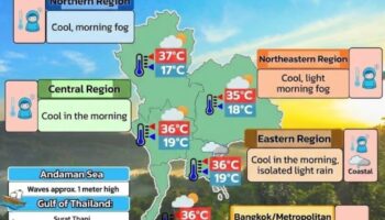11 февраля погода: туманные утры, теплые дни, южный дождь