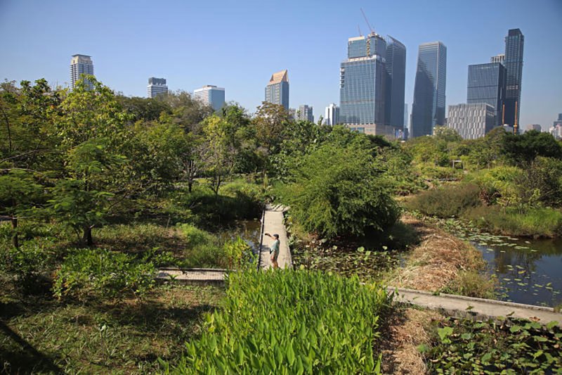 Городская ратуша запускает масштабную ревизию правил парков