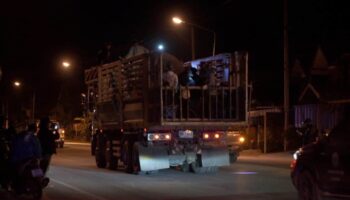 Дикий слон погиб во время операции по переселению в Хон Каен