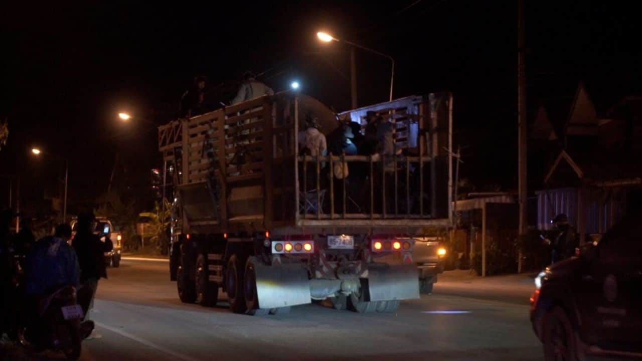 Дикий слон погиб во время операции по переселению в Хон Каен