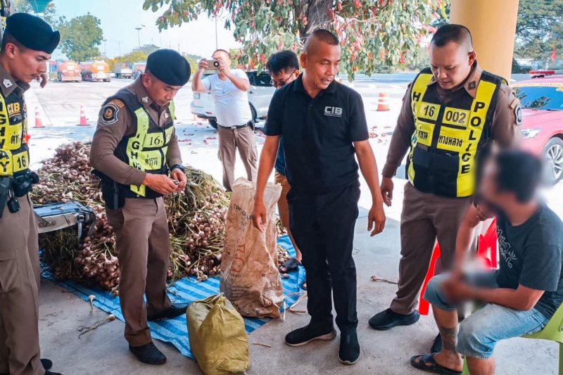 Дроги на сумму 200 миллионов долларов обнаружены под грузом чеснока