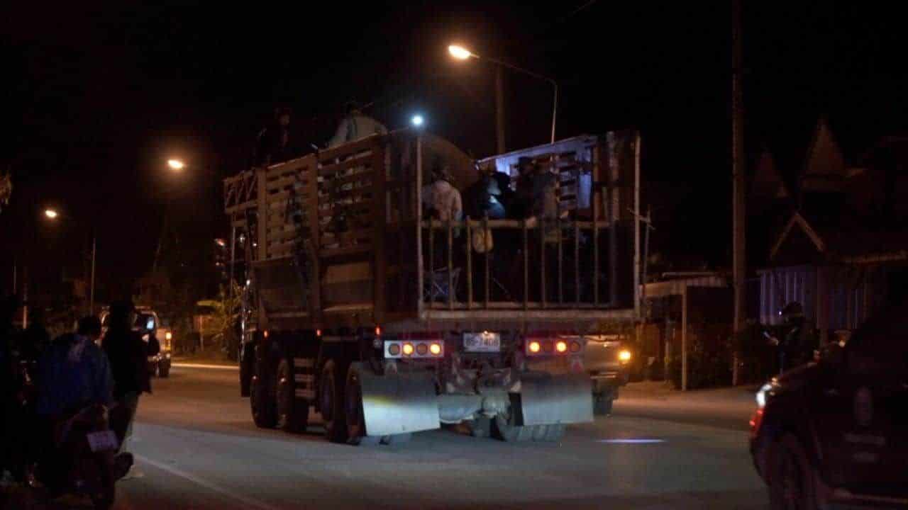 Запрос на продление судебного разбирательства после смерти слона во время переселения