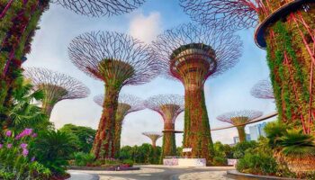 Как структура Частной有限公司 Сингапура (Pte Ltd) позволяет полностью иностранное владение