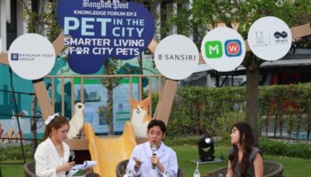 Меньшее количество семей приводит к местному буму на домашних животных