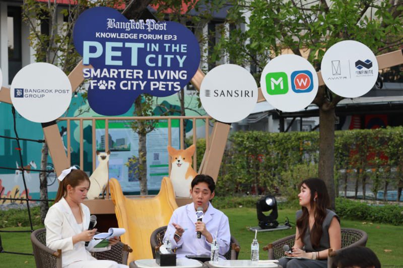 Меньшее количество семей приводит к местному буму на домашних животных