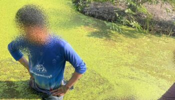 Младенец найден мертвым в канаве позади дома в Анг Тхонге