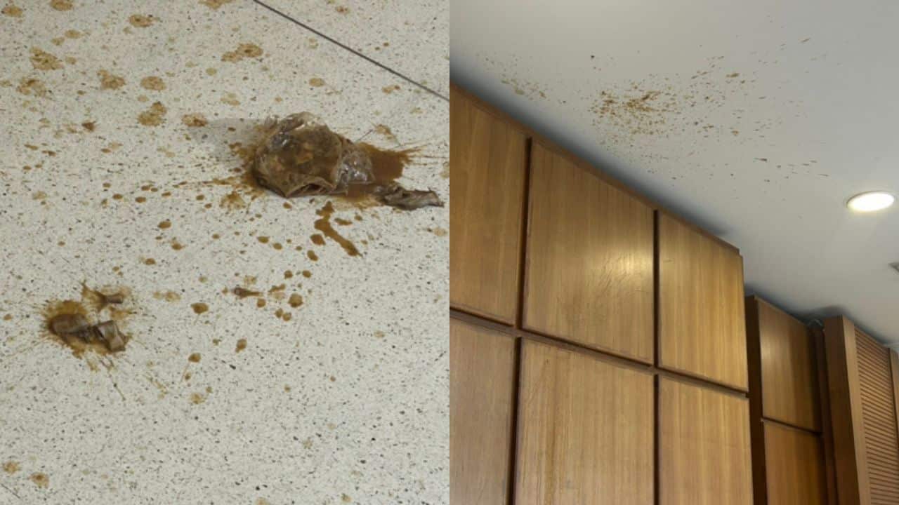 Мужчина бросает ферментированную рыбу в офис Избирательной комиссии в Бангкоке