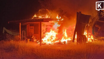 Муравейник стал виновником пожара в доме бывшего кандидата