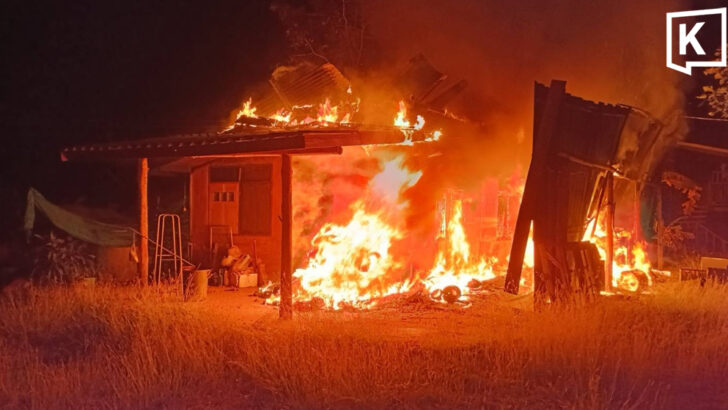 Муравейник стал виновником пожара в доме бывшего кандидата